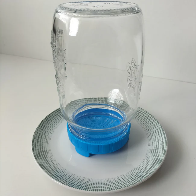 1000ml Sprouting Jar With Food Safe Straining Lid - Image 7