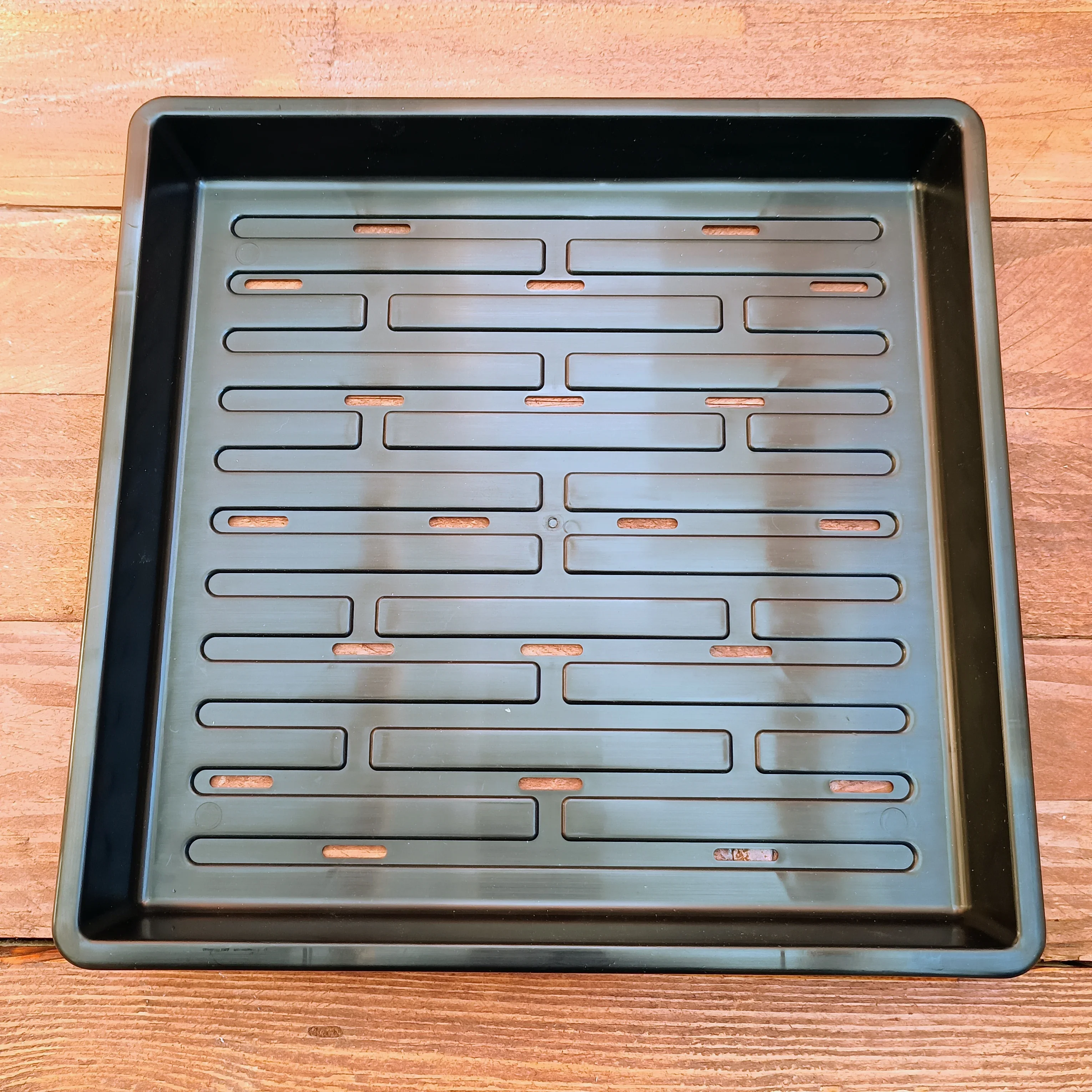 1010 Bootstrap Farmer Shallow Trays | With Holes | Heavy Duty Microgreens Or Seedling Trays - Image 5
