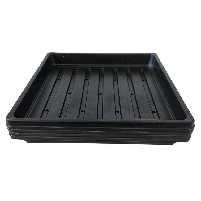 1010 Microgreens Growing Trays WITH Holes 10" x 10" (Shallow) - Image 5