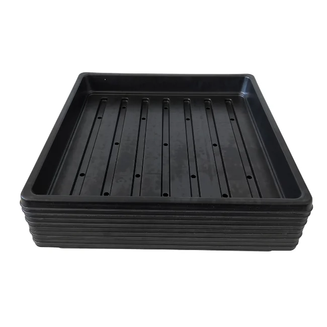1010 Microgreens Growing Trays WITH Holes 10" x 10" (Shallow) - Image 6