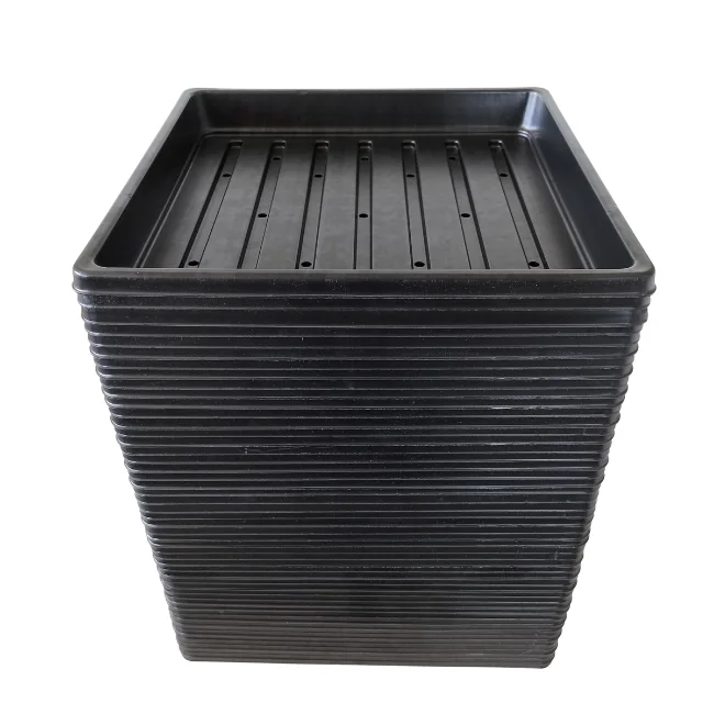 1010 Microgreens Growing Trays WITH Holes 10" x 10" (Shallow) - Image 7