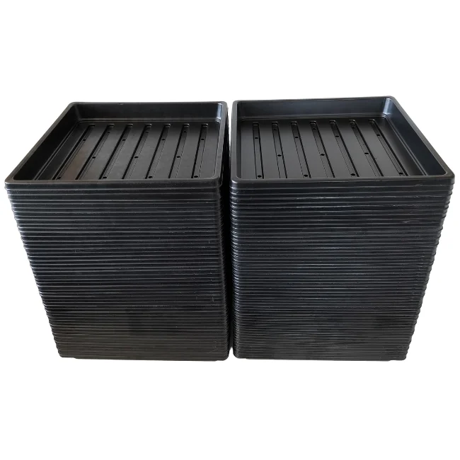 1010 Microgreens Growing Trays WITH Holes 10" x 10" (Shallow) - Image 8