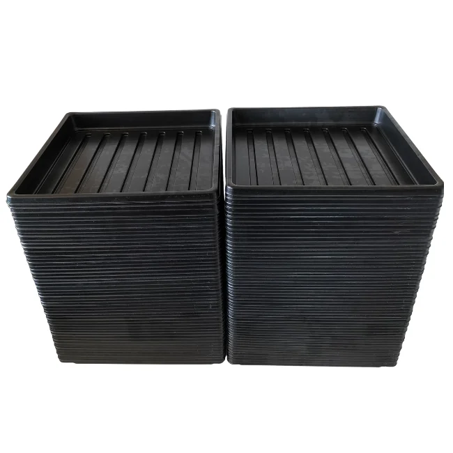 1010 Microgreens Growing Trays WITHOUT Holes 10" x 10" (Shallow) - Image 7