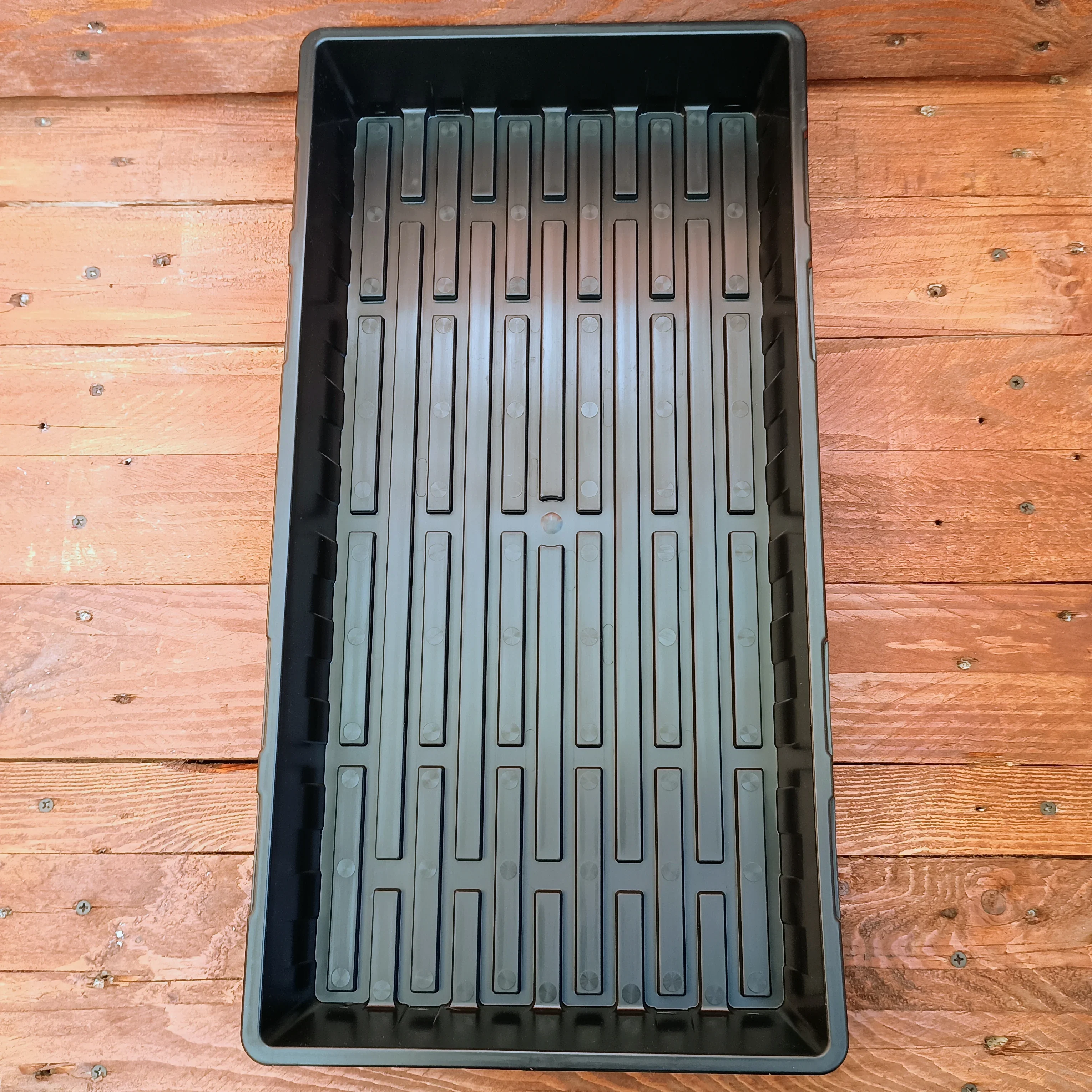 Deep 1020 Bootstrap Farmer Trays | Without Holes | Heavy Duty Microgreens Or Seedling Trays - Image 3