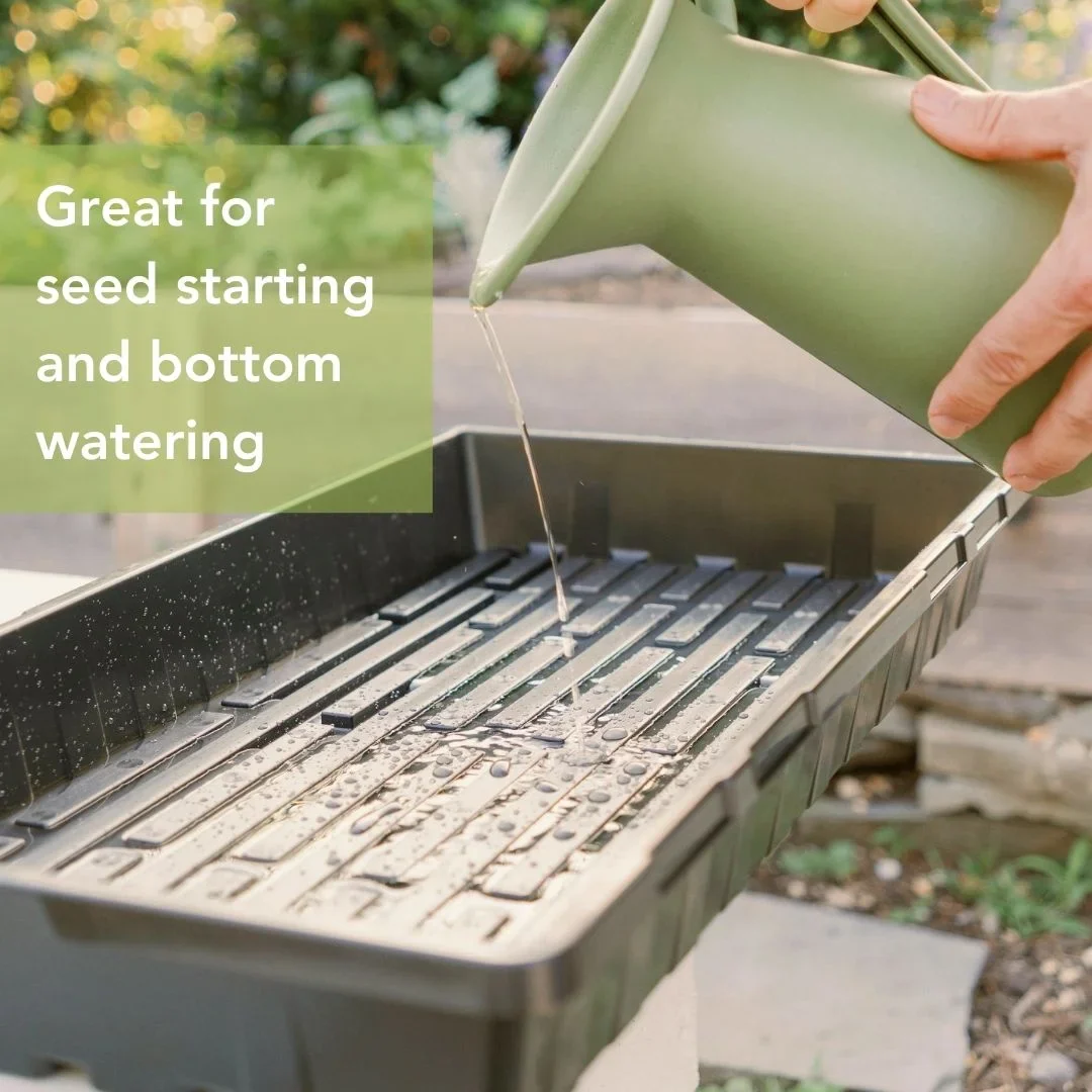 Deep 1020 Bootstrap Farmer Trays | Without Holes | Heavy Duty Microgreens Or Seedling Trays - Image 6