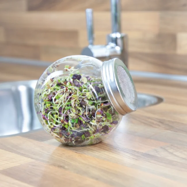 400ml Sprouting Jar with Metal Mesh Lid & Organic Spicy Salad Mix Seeds