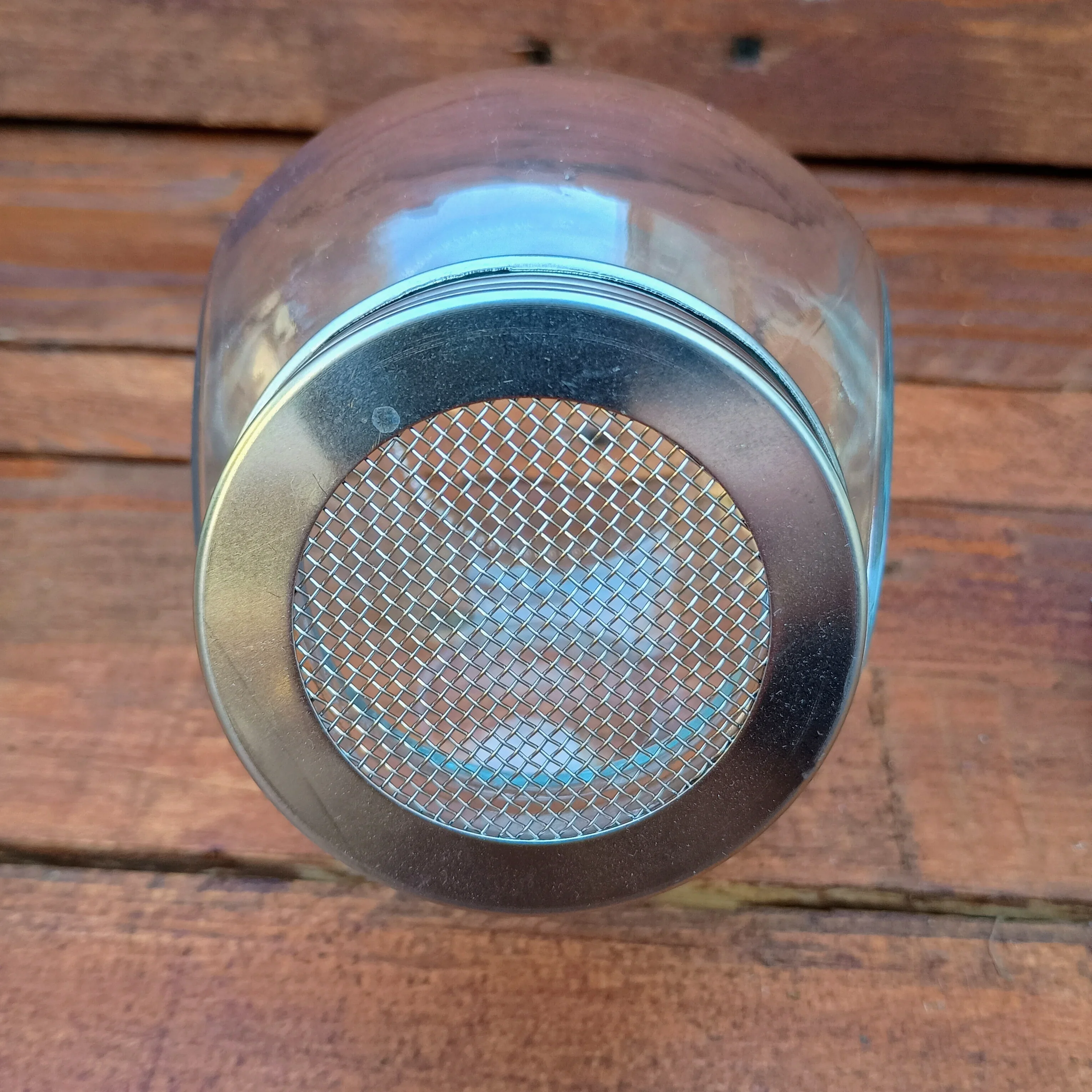 400ml Sprouting Jar with Metal Mesh Lid & Organic Salad Mix Seeds - Image 3