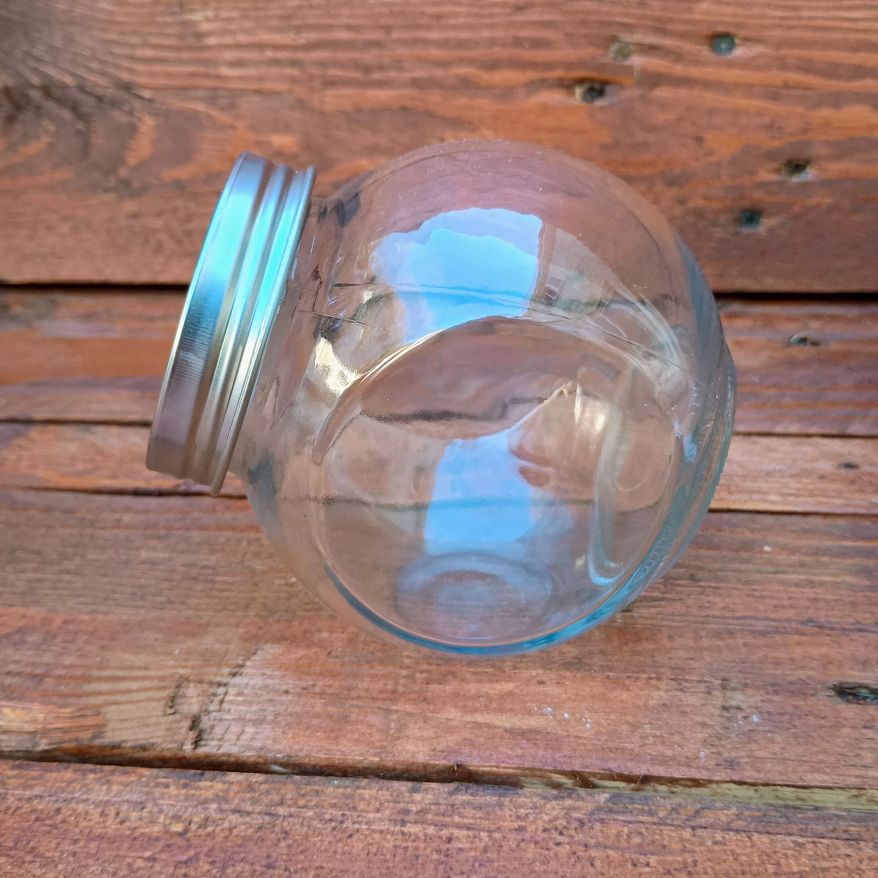 400ml Sprouting Jar with Metal Mesh Lid & Organic Salad Mix Seeds - Image 4