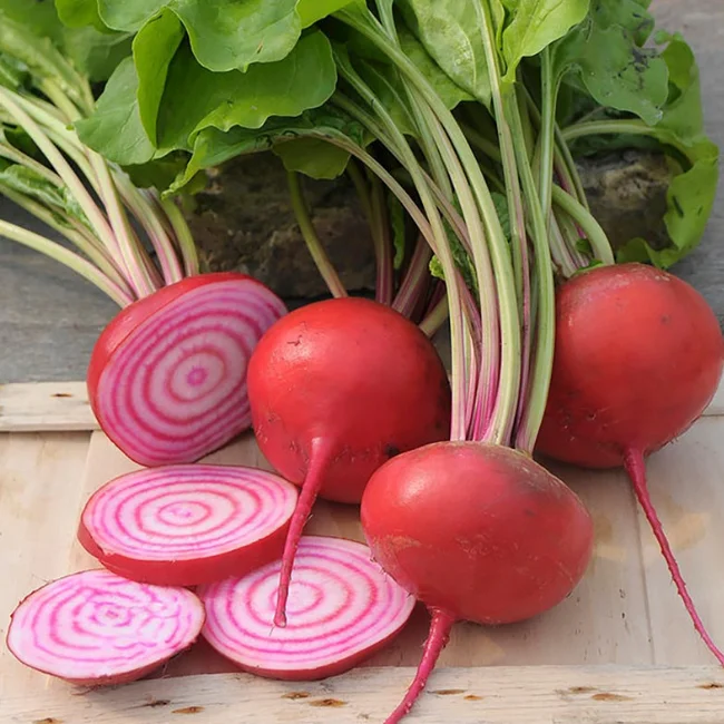 Beetroot: Tondo di Chioggia Organic Seed