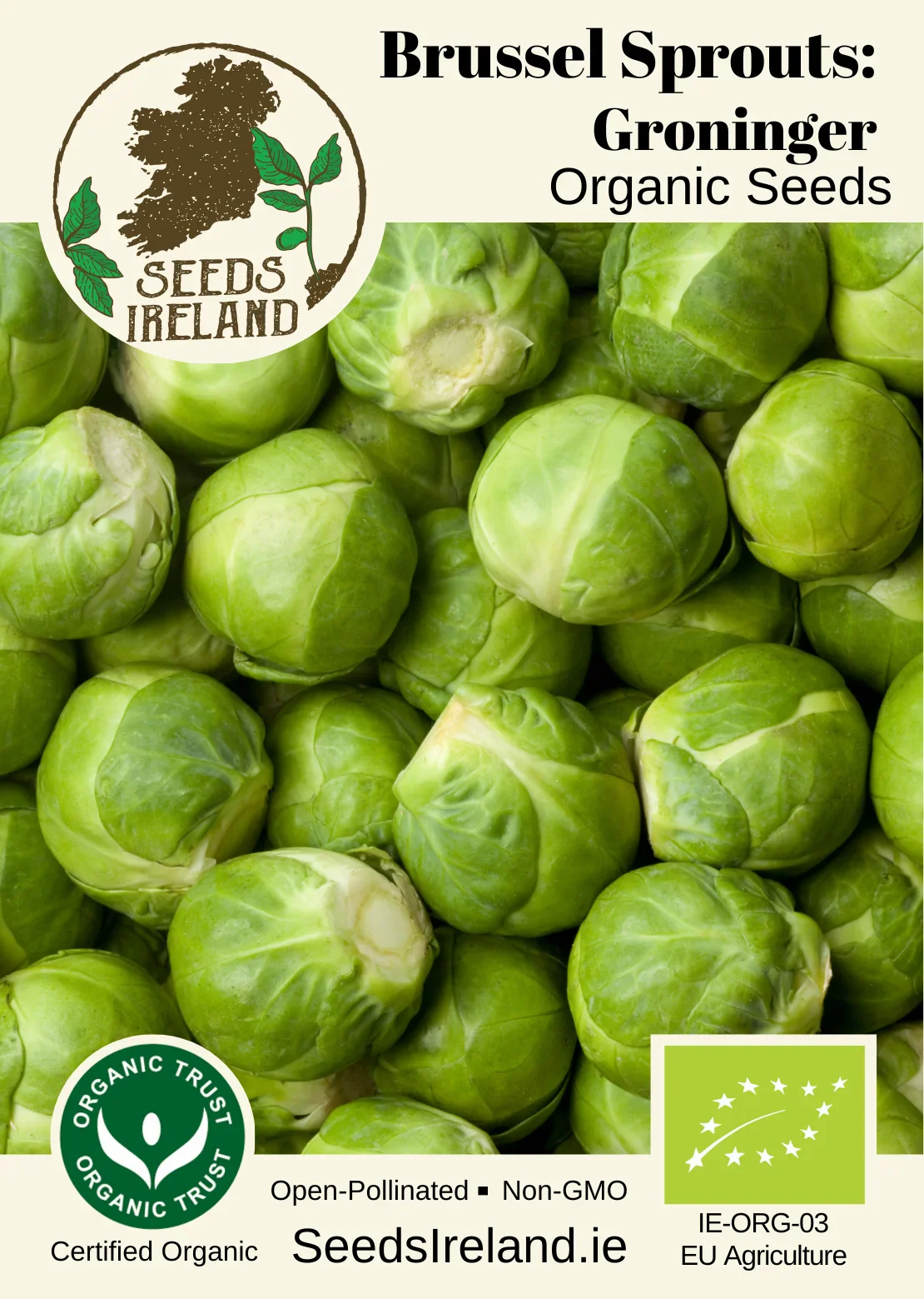 Brussels Sprouts: Groninger Organic Seed - Image 2
