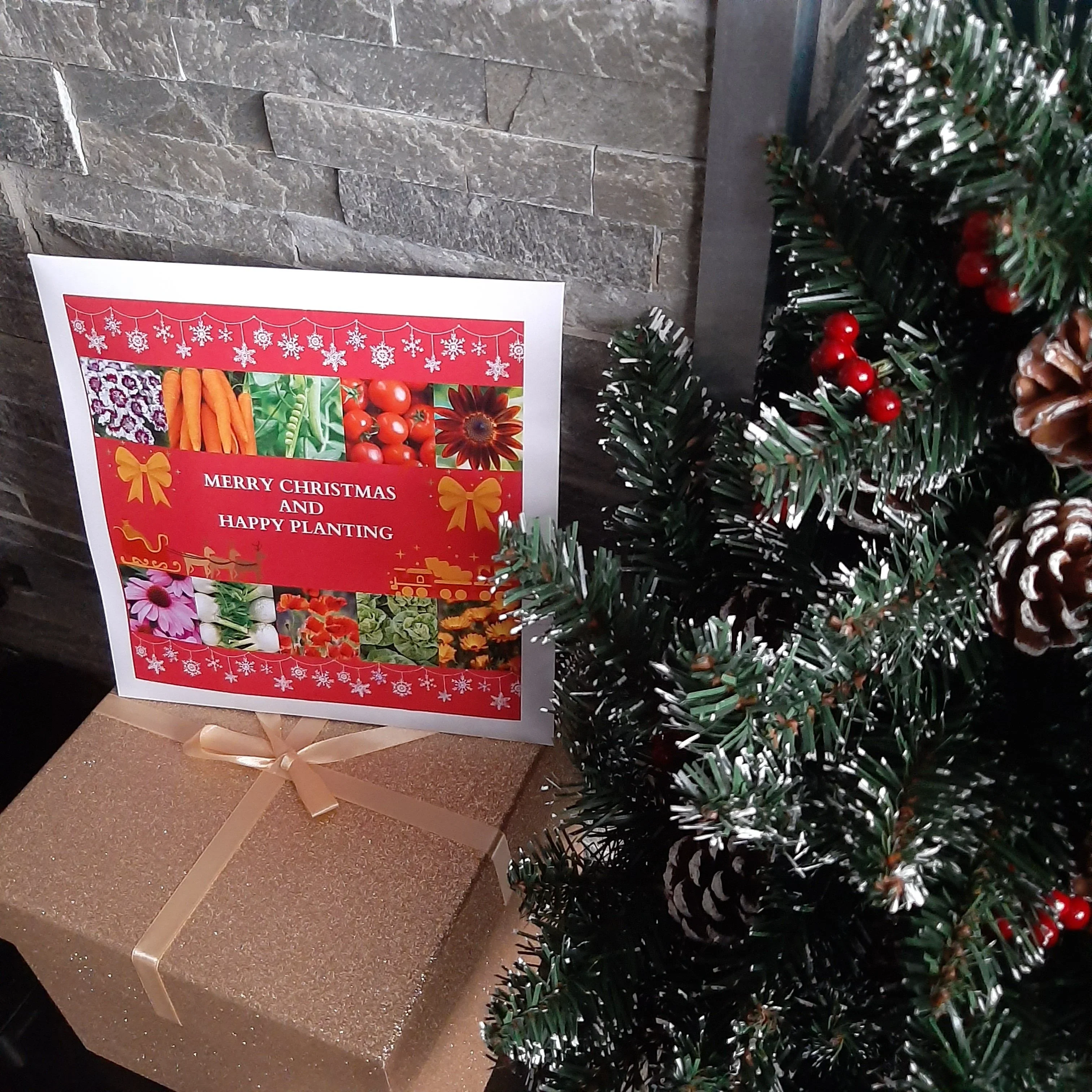 Christmas Gift Pack - Vegetable & Flower Seeds - Image 4