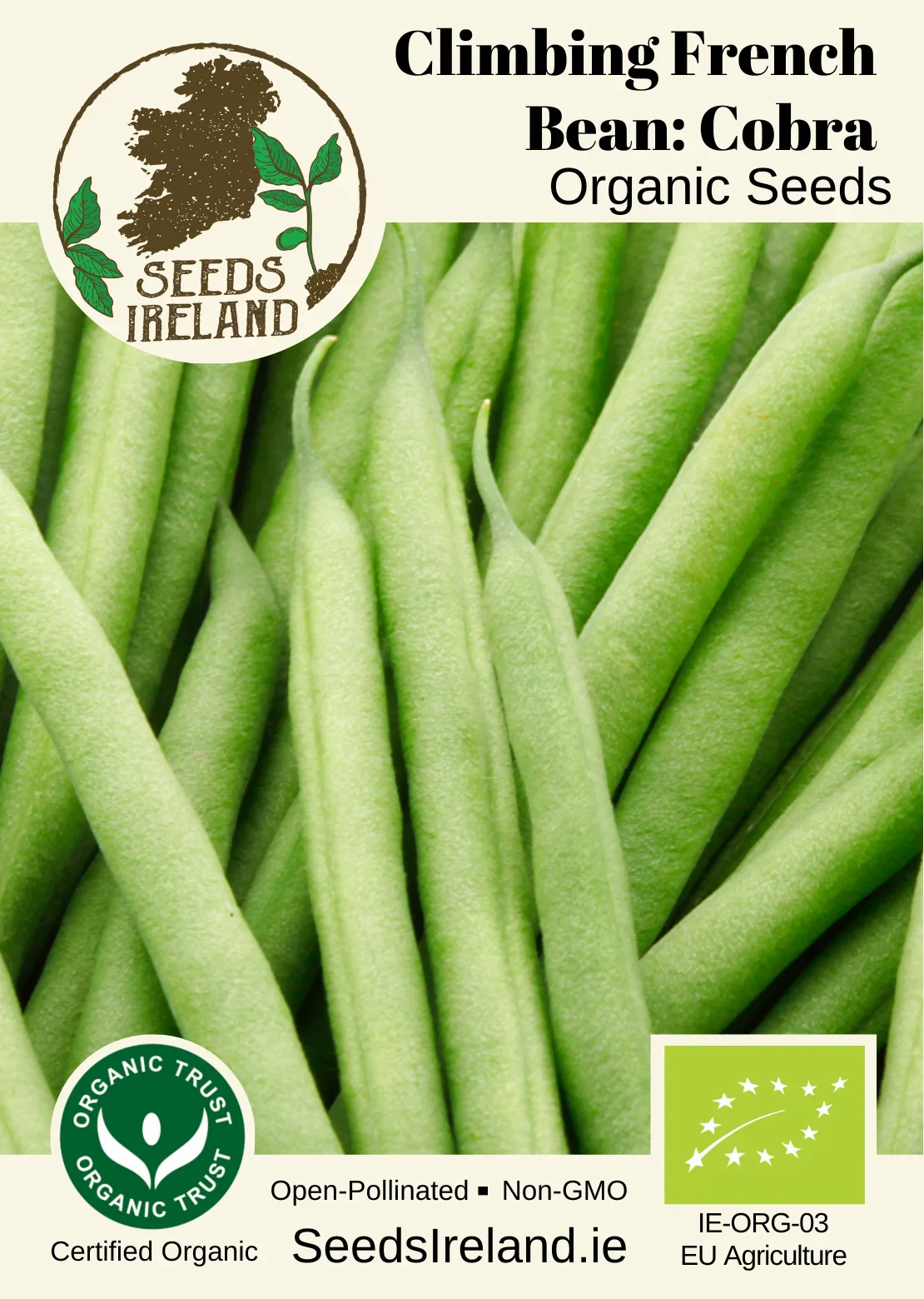 Climbing French Bean: Cobra Organic Seed - Image 3