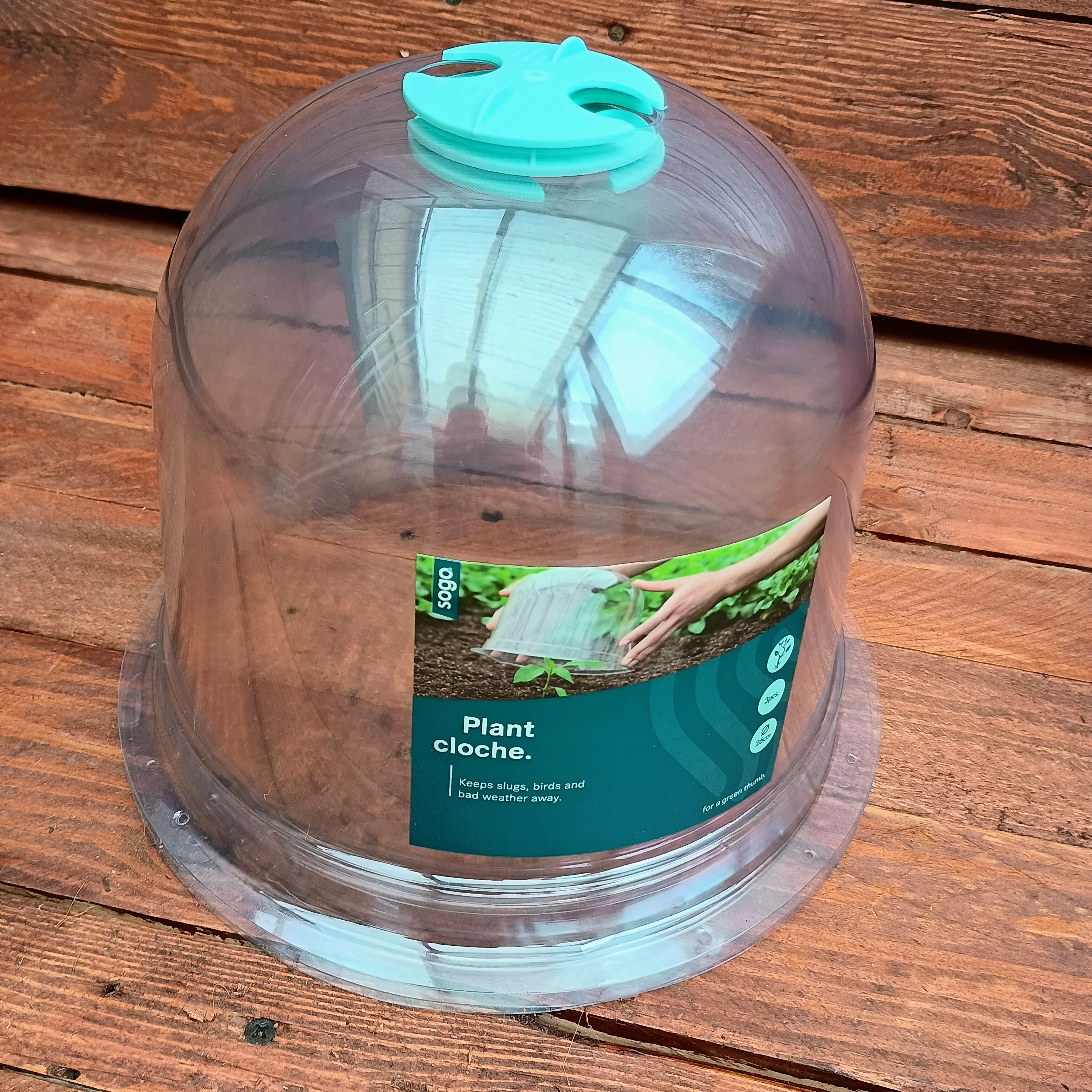 Plant Bell Cloche - 3 Pack - Image 3