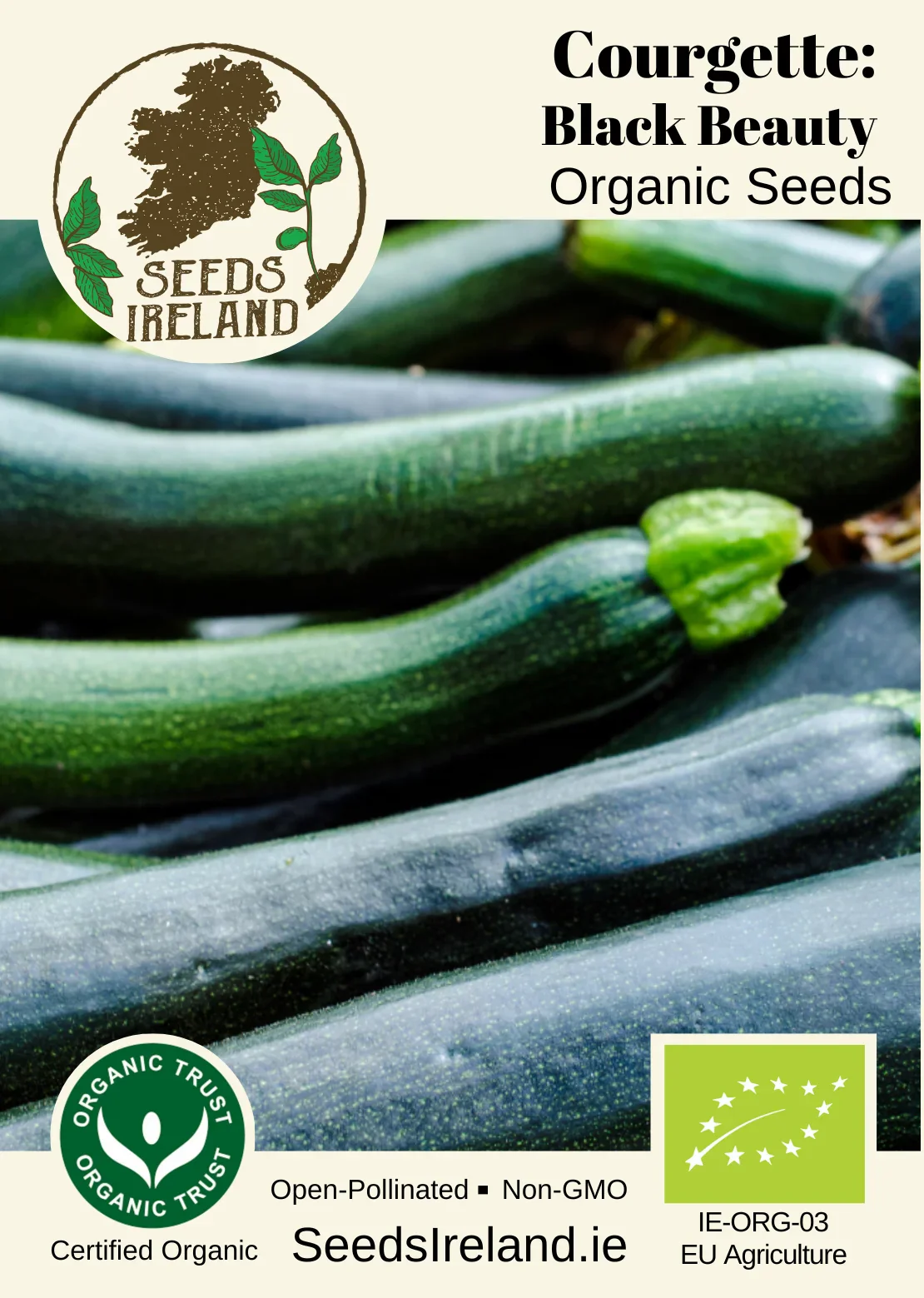 Courgette: Black Beauty Organic Seed - Image 2