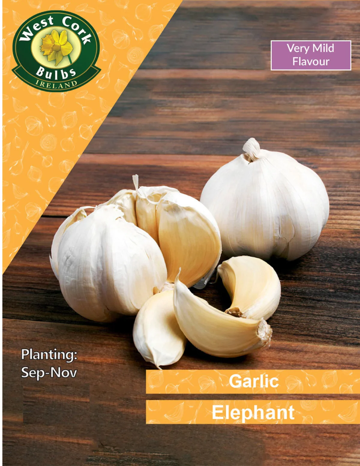 Garlic Cloves: Elephant Garlic
