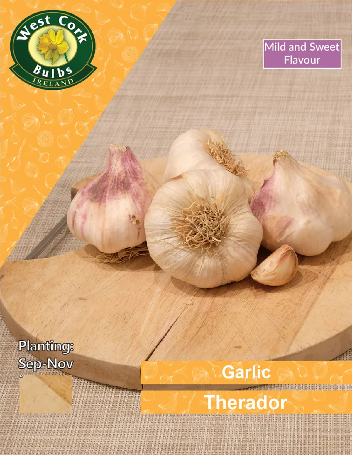 Garlic Bulbs: Therador
