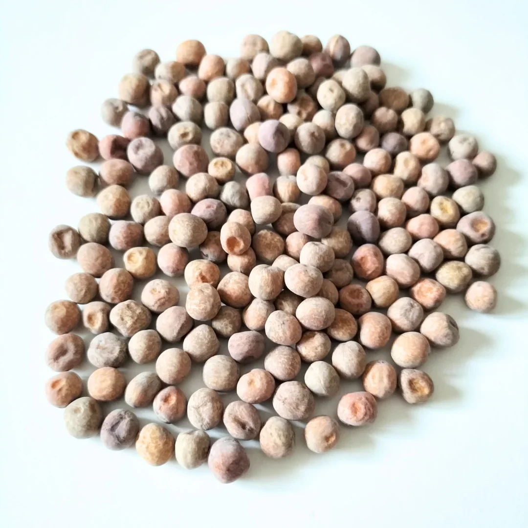 Organic Microgreen Seed: Speckled Pea - Image 3