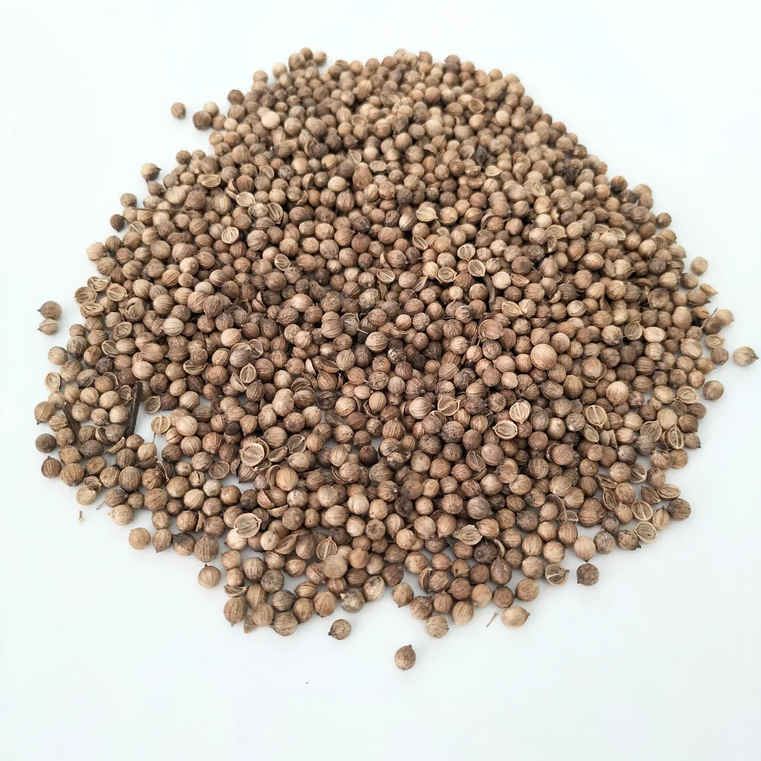 Organic Microgreen Seed: Whole Coriander - Image 3