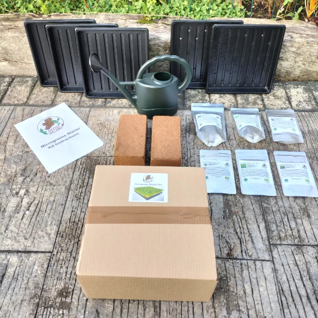 Microgreens Starter Kit - Image 4