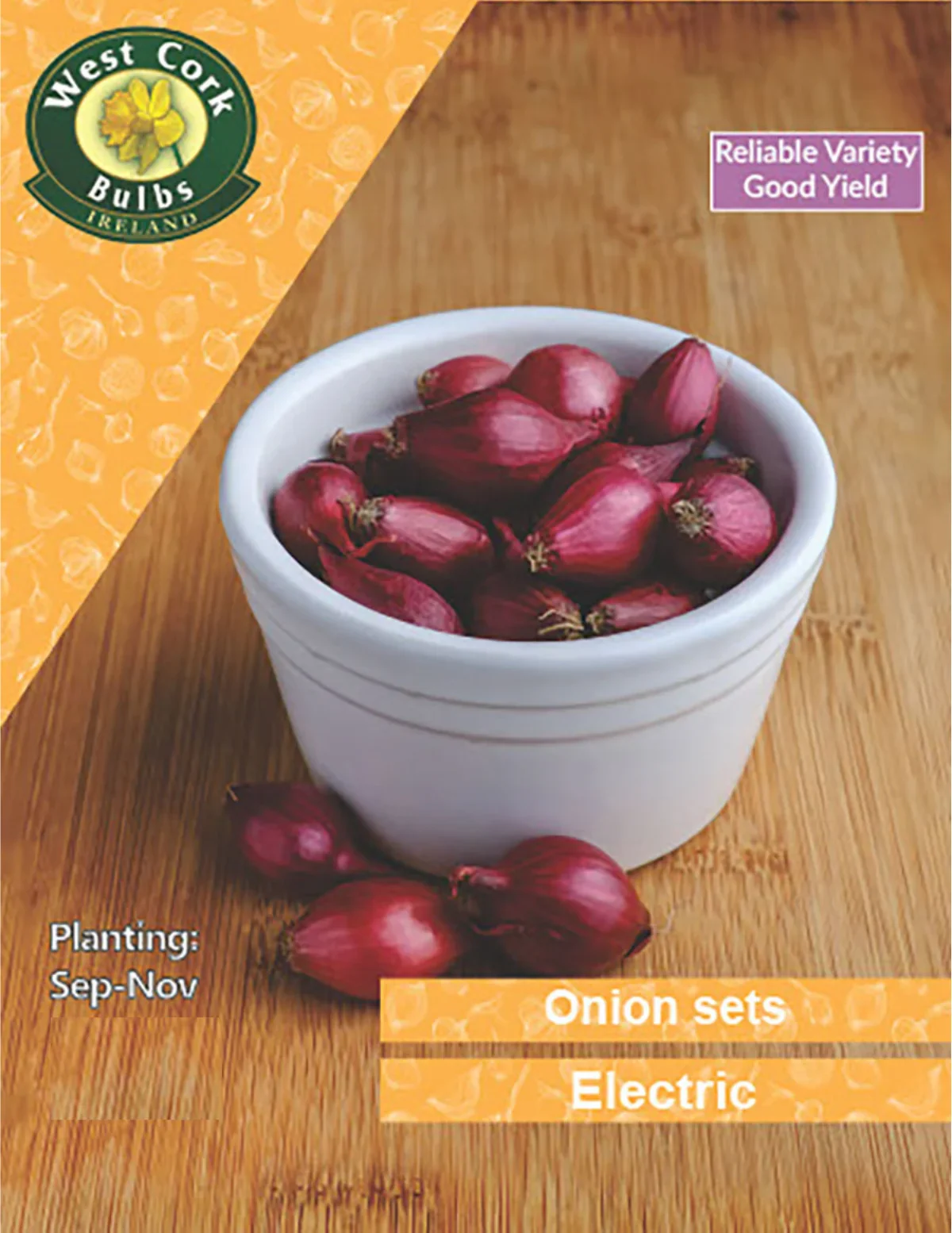 Onion Sets: Electric