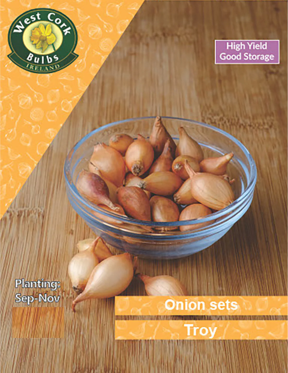 Onion Sets: Troy