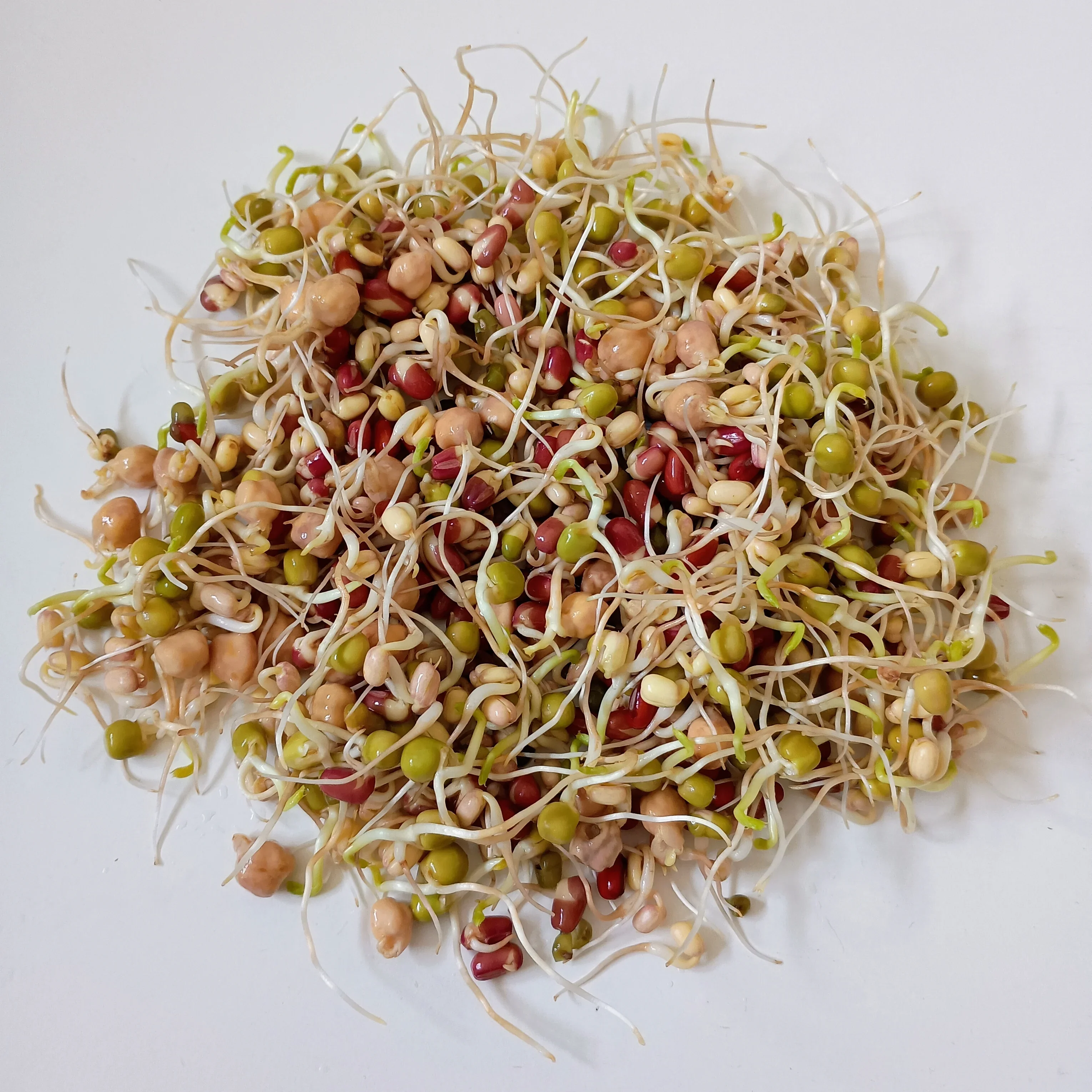 Organic Sprouting Seed: Protein Power Mix