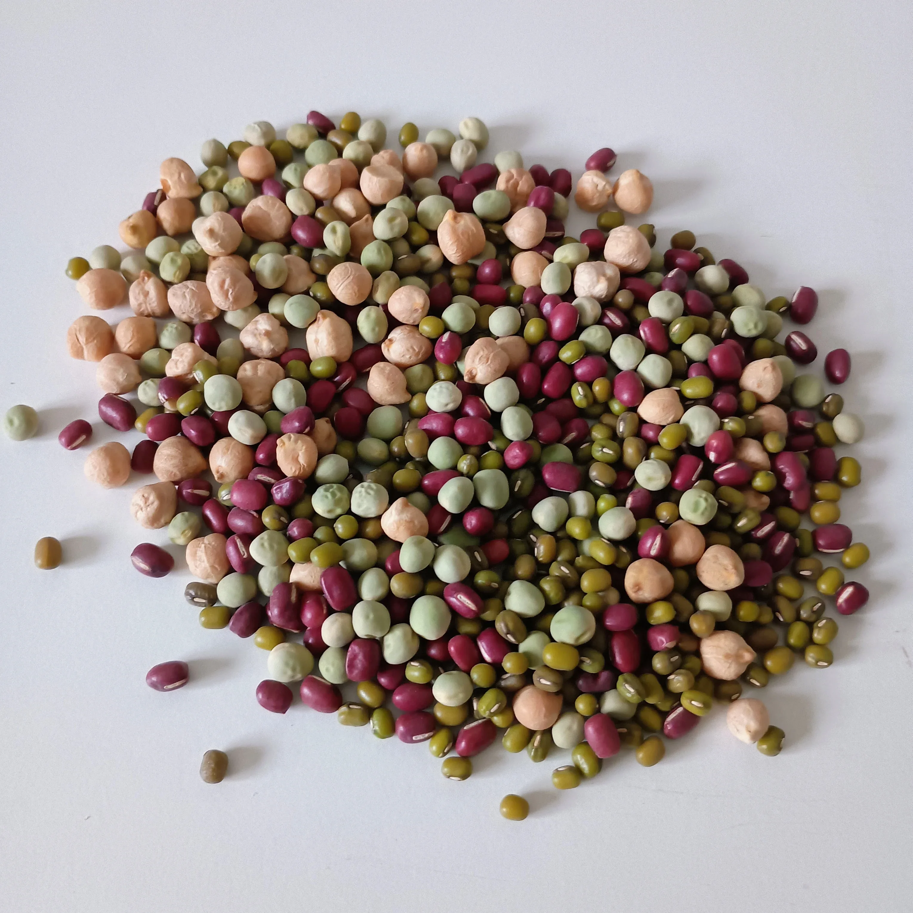 Organic Sprouting Seed: Protein Power Mix - Image 2