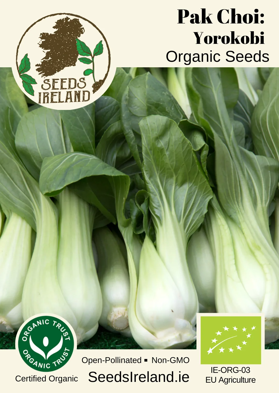 Pak Choi: Yorokobi Organic Seed - Image 2