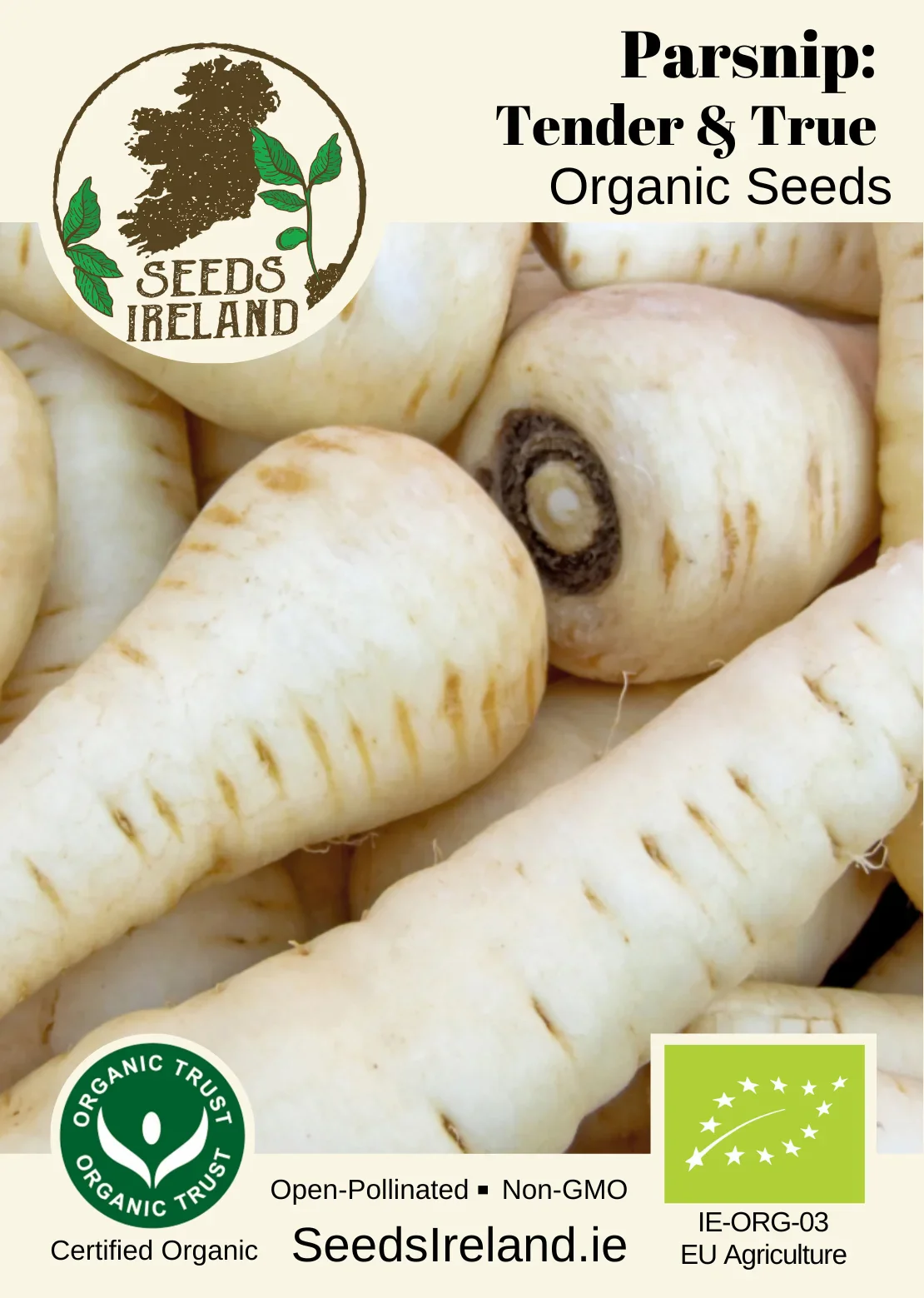 Parsnip: Tender & True Organic Seed - Image 2