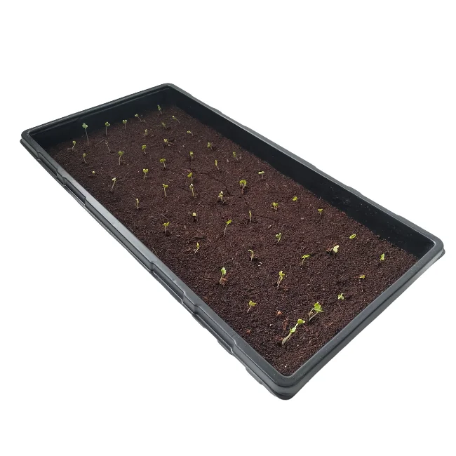 Propagation Trays For Seed Starting or Microgreens WITH Holes - 1020 - Image 3