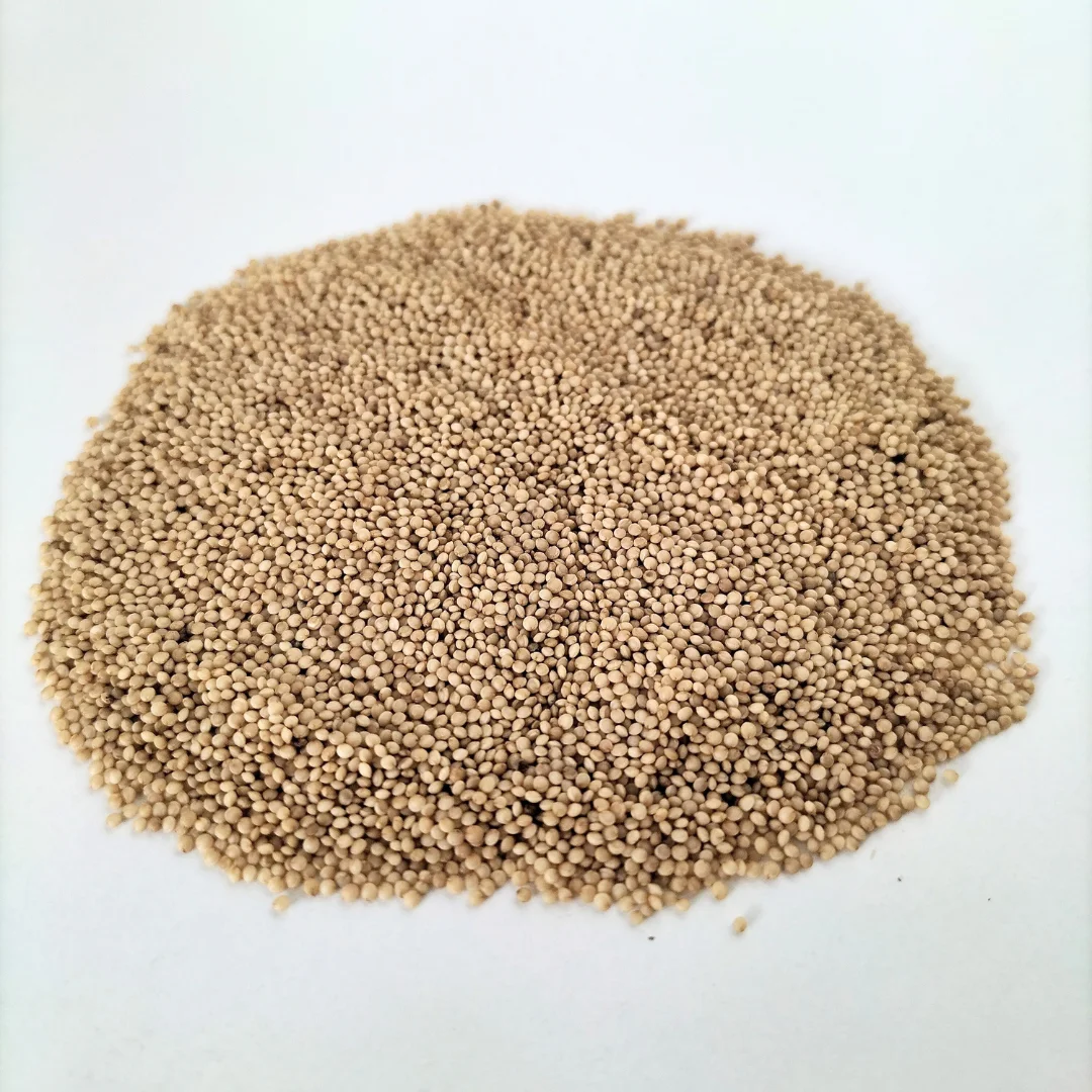 Organic Microgreen Seed: Red Amaranth - Image 3