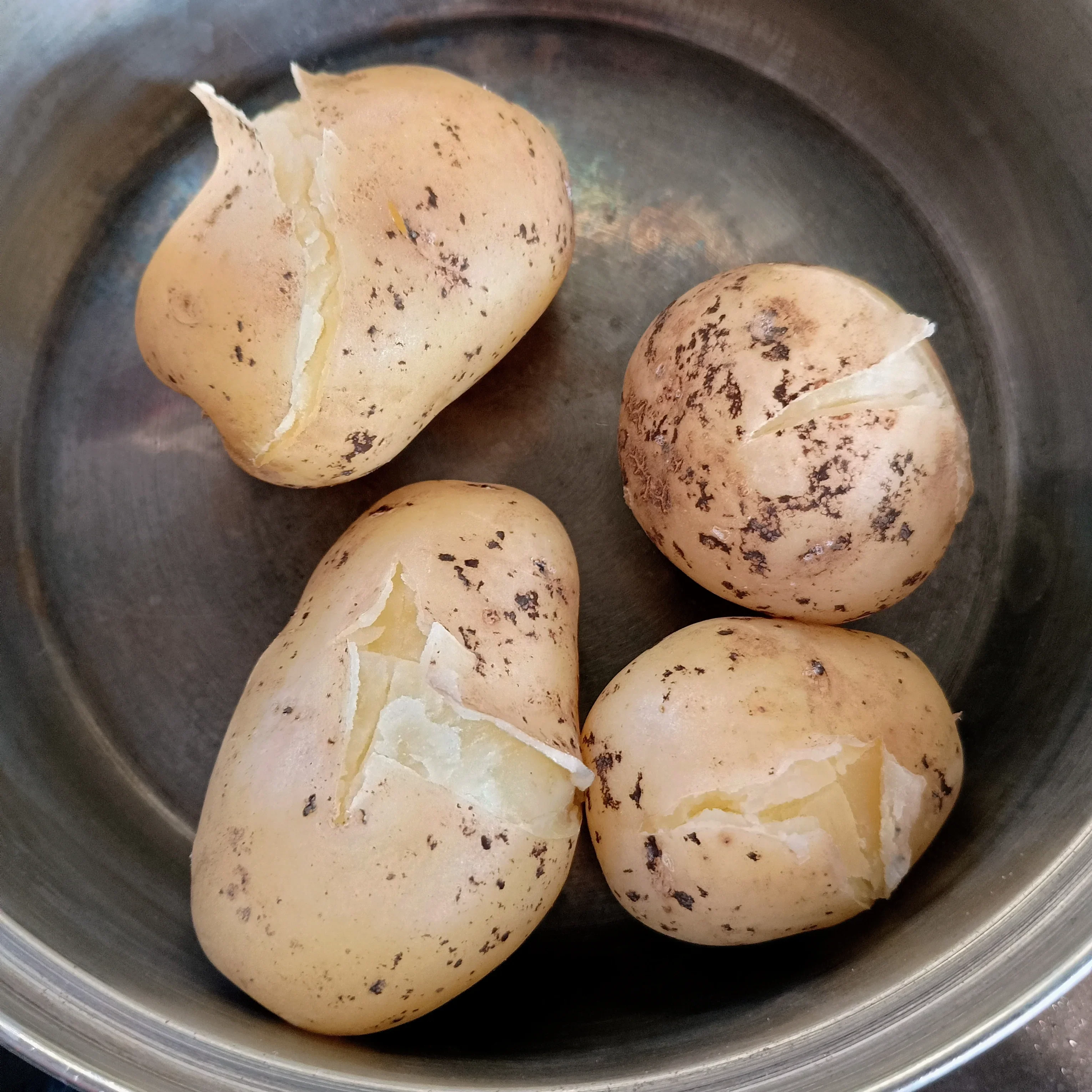 Seed Potatoes: British Queens - Image 3