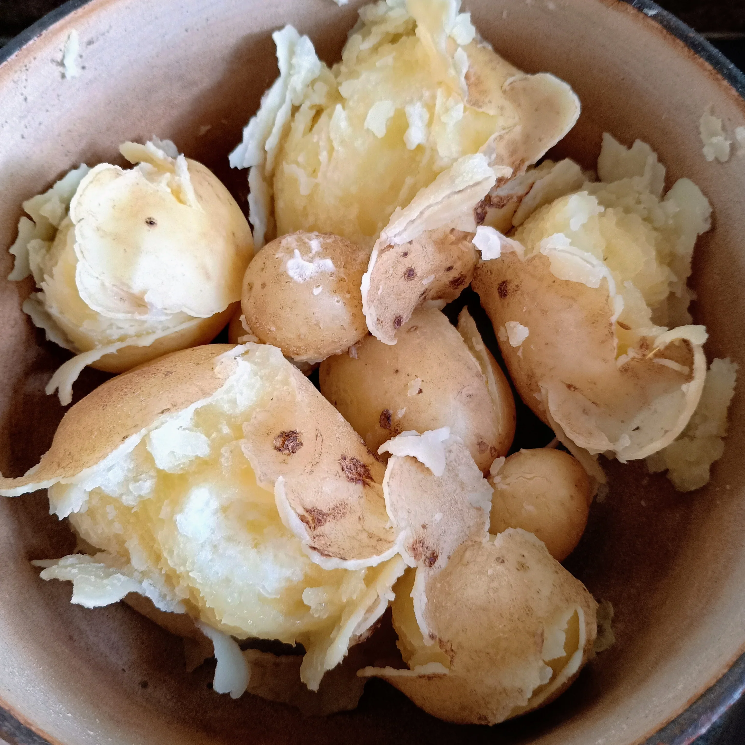Seed Potatoes: Maris Piper - Image 3