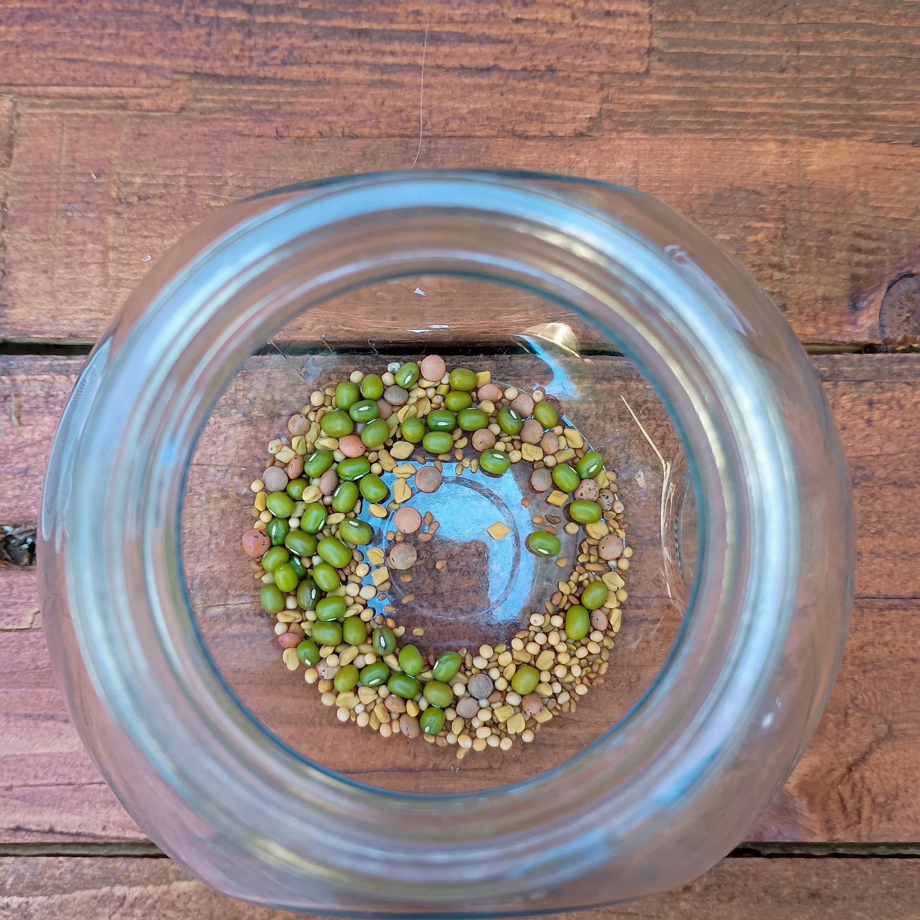 400ml Sprouting Jar with Metal Mesh Lid & Organic Salad Mix Seeds - Image 7