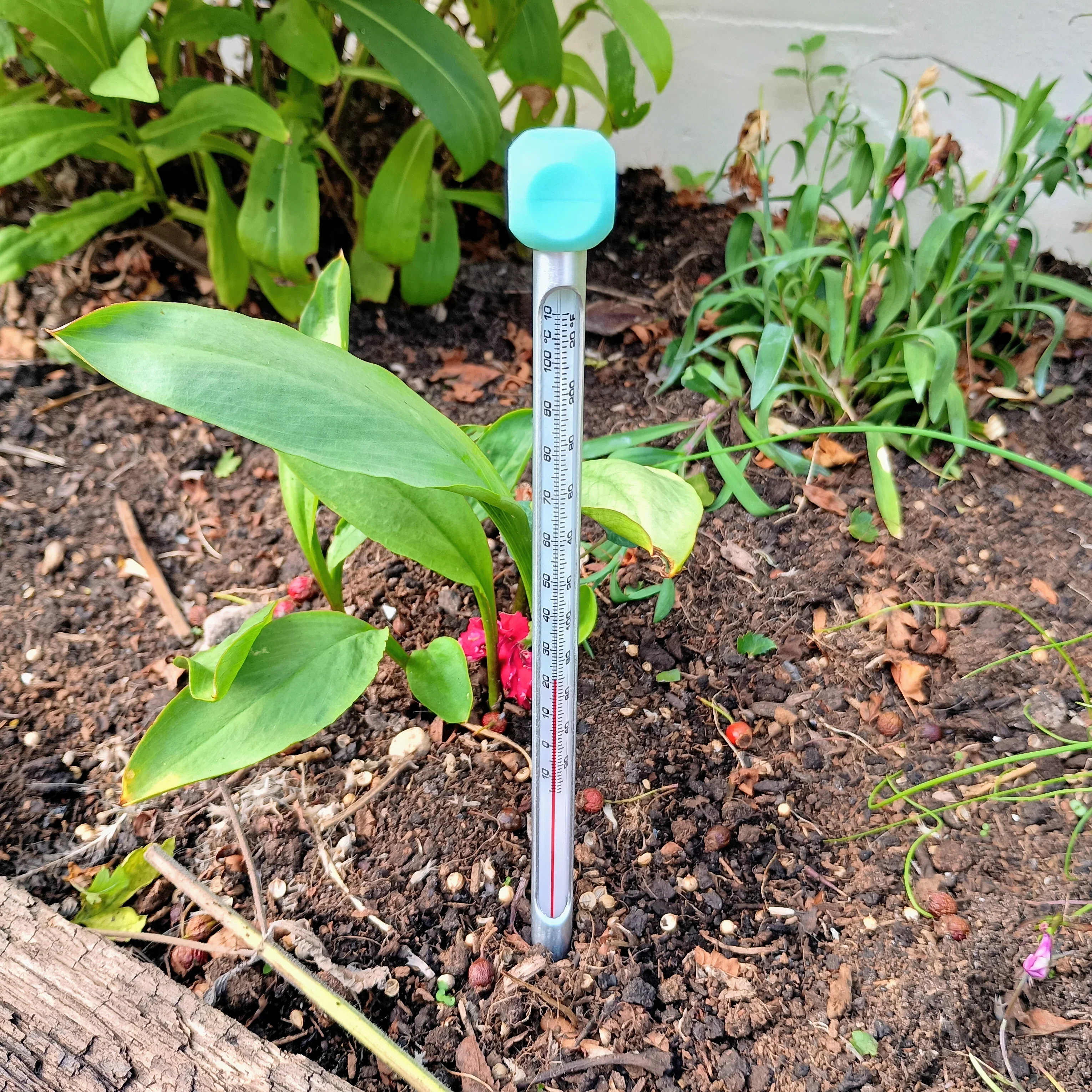 Soil Thermometer - Image 2