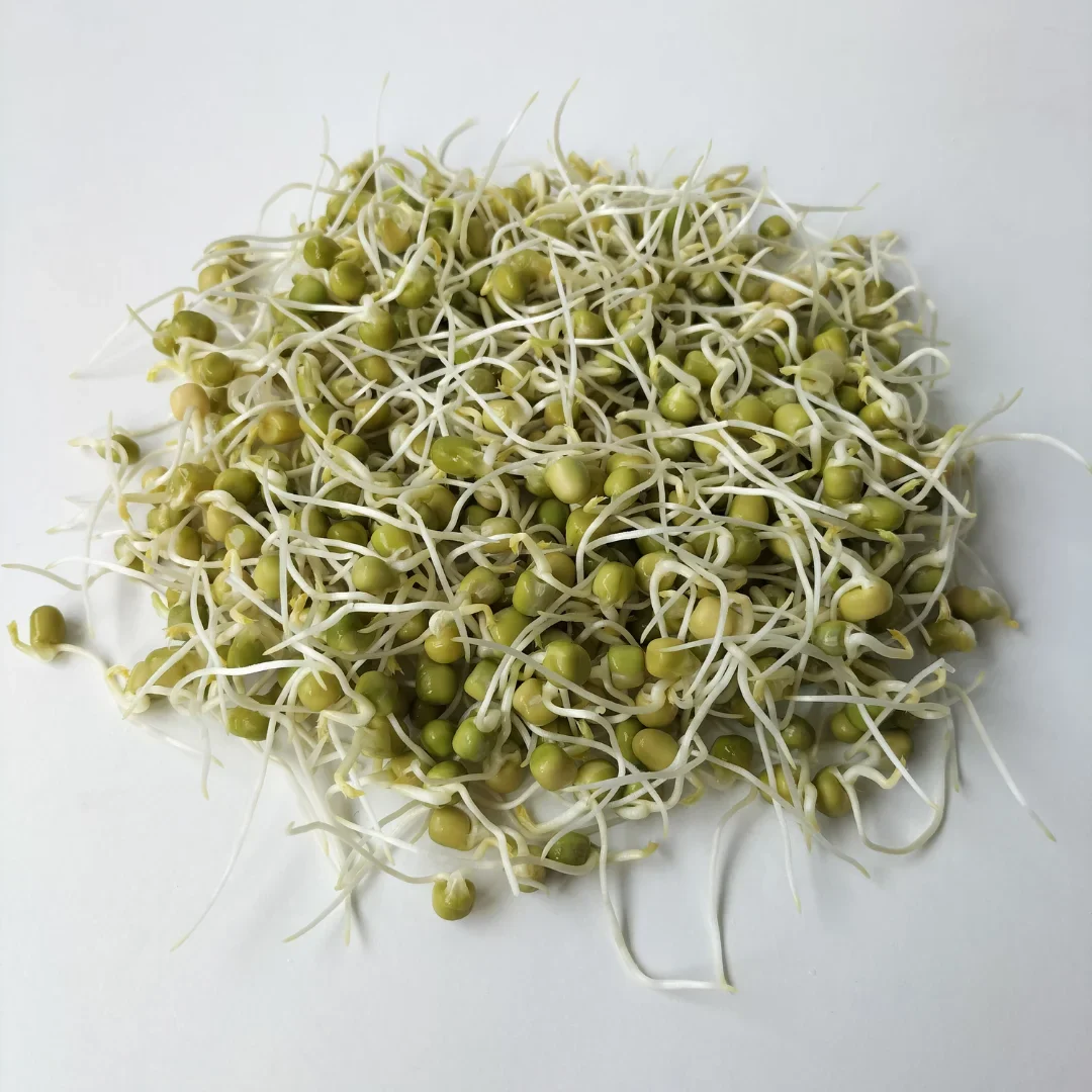 Organic Sprouting Seed: Affila Pea