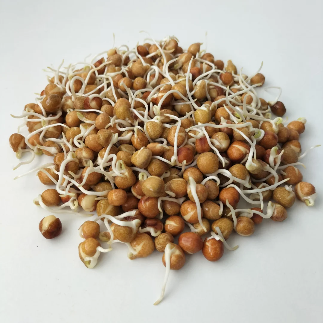 Organic Sprouting Seed: Speckled Pea