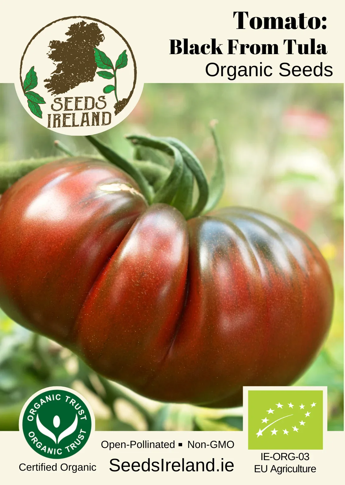 Tomato: Black From Tula Organic Seed - Image 2