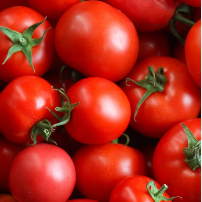 Tomato: Matina Organic Seed