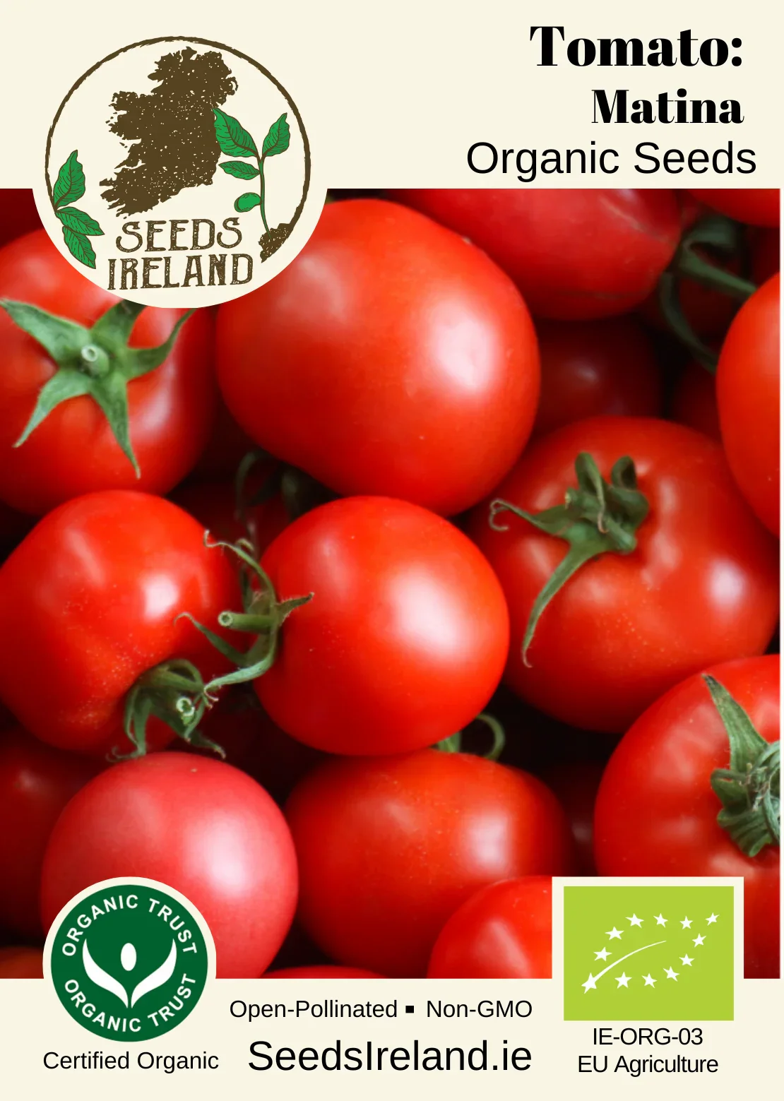 Tomato: Matina Organic Seed - Image 3