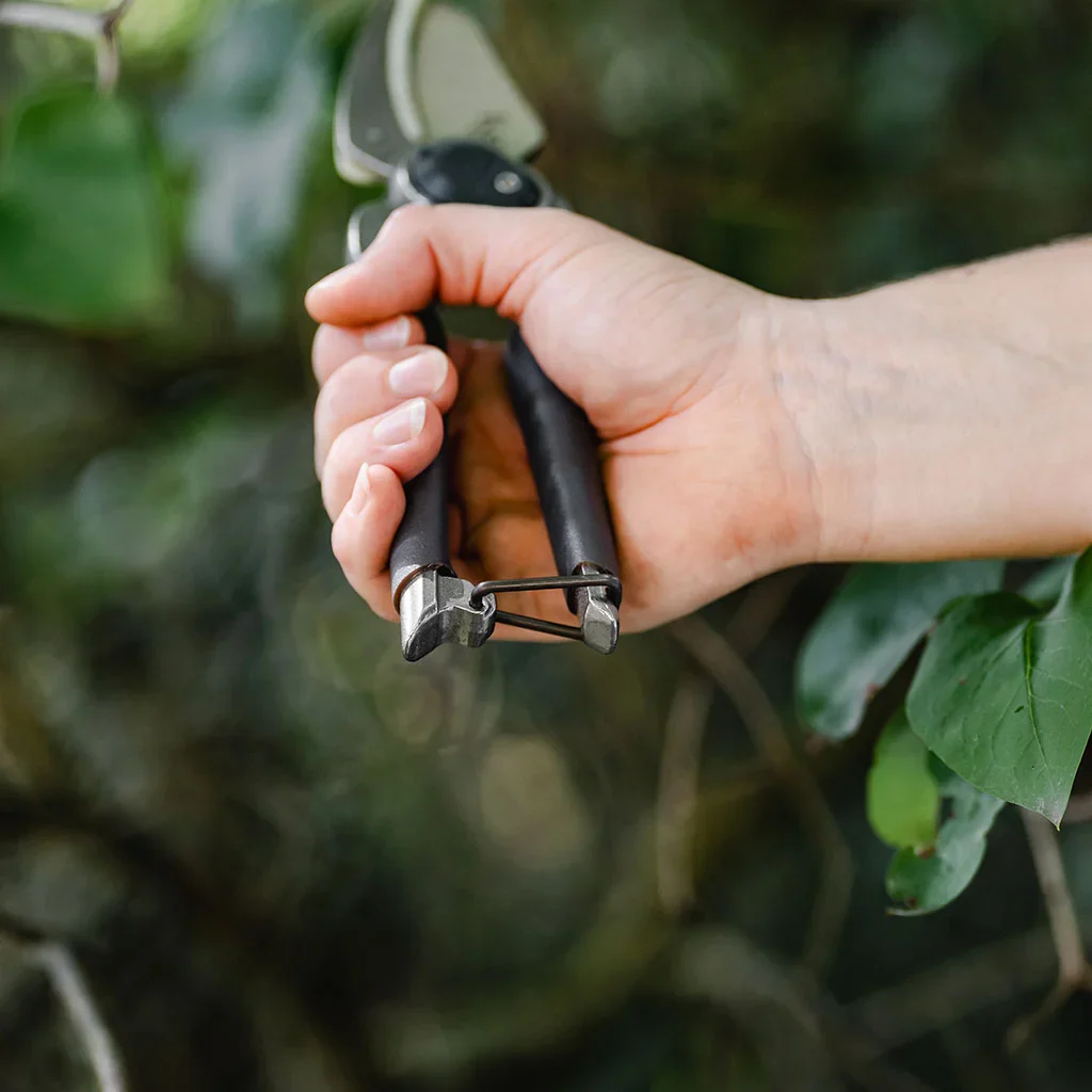 Traditional Anvil Secateurs | Kent & Stowe - Image 4
